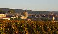 Vosne-Romanée,  Côte d'Or morning IMGP3710